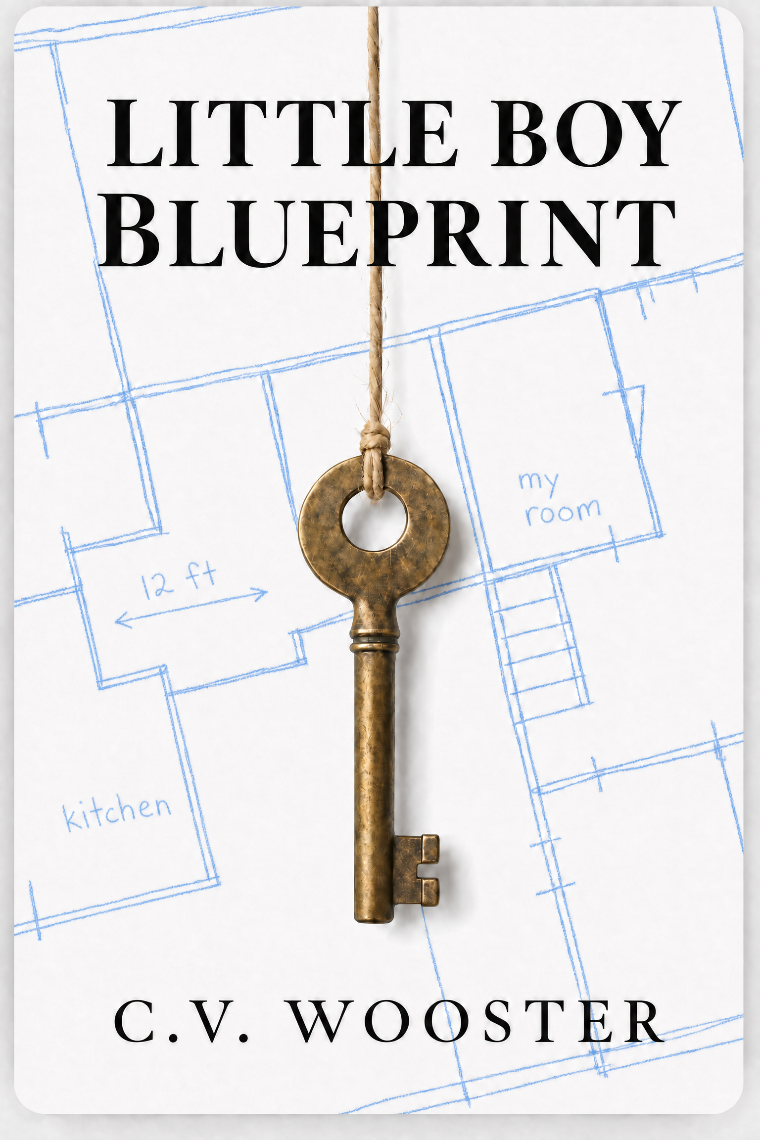 Little Boy Blueprint